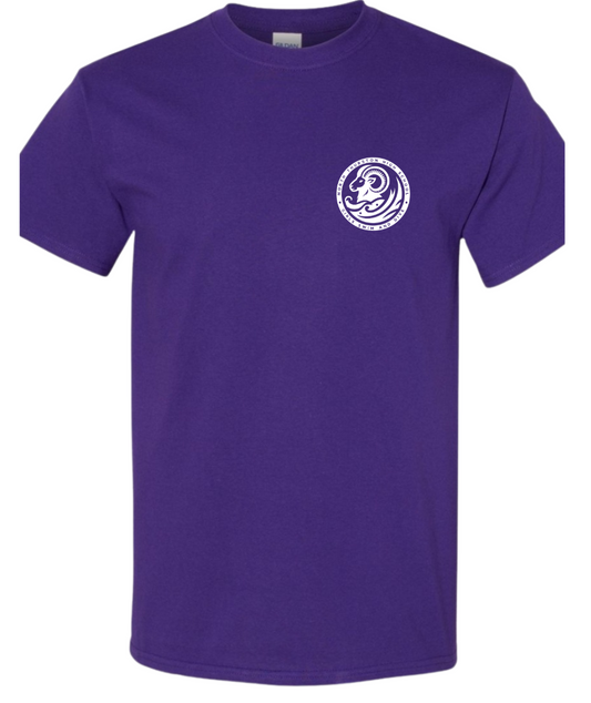 NT Swim and Dive Tees *PRE-ORDERS*