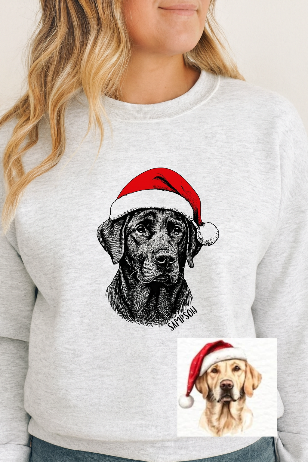 Christmas dog portrait ❤️🎅🐕